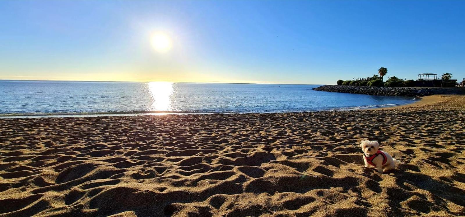 Apartamentos Magic Benalbeach By Benalnova Benalmádena Exteriér fotografie